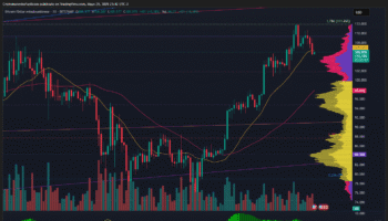 BITCOIN CORRIGE DESDE MÁXIMOS HISTÓRICOS PERO CONSERVA ESTRUCTURA ALCISTA Y SOPORTES CLAVE SOBRE LOS US$100K