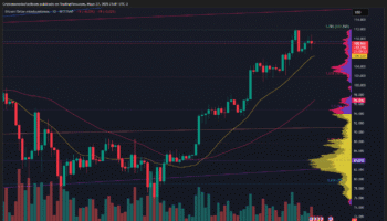 BITCOIN SE MANTIENE CERCA DE MÁXIMOS HISTÓRICOS MIENTRAS EL MOMENTUM SE MODERA Y CAE EL VOLUMEN