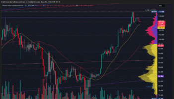 BITCOIN CAE 1,08 % TRAS ALCANZAR MÁXIMOS HISTÓRICOS Y MANTIENE SOPORTE CLAVE EN LOS 97.000 DÓLARES