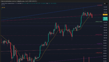 BITCOIN PIERDE LA EMA20 CON VOLUMEN EN AUMENTO Y SE DESARROLLA ESTRUCTURA DISTRIBUTIVA SEGÚN WYCKOFF
