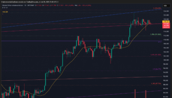 BITCOIN ENFRENTA PRESIÓN BAJISTA CON SOPORTE EN 111865 Y VOLUMEN DECRECIENTE SEGÚN ANÁLISIS TÉCNICO WYCKOFF