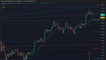 BITCOIN SE MANTIENE SOBRE SOPORTE CLAVE EN 114.456 CON ESTRUCTURA ALCISTA Y VOLUMEN EN DESCENSO