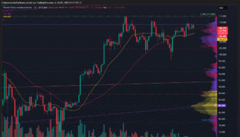 BITCOIN SE MANTIENE SOBRE SOPORTE CLAVE CON VOLUMEN DECRECIENTE Y SENTIMIENTO DE MERCADO EN GREED