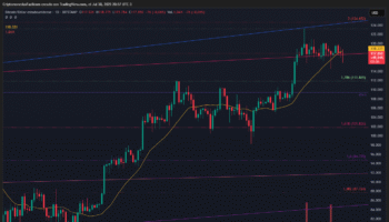 BITCOIN RECHAZA RESISTENCIA EN 118330 CON BAJO VOLUMEN Y CONFIRMA ESTRUCTURA DE DISTRIBUCIÓN SEGÚN WYCKOFF
