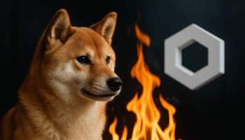 SHIBA INU ACTIVA QUEMAS AUTOMÁTICAS DE TOKENS SHIB CON CADA TRANSACCIÓN CROSS-CHAIN GRACIAS A INTEGRACIÓN CON CHAINLINK