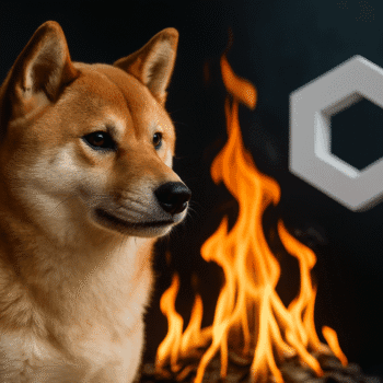 SHIBA INU ACTIVA QUEMAS AUTOMÁTICAS DE TOKENS SHIB CON CADA TRANSACCIÓN CROSS-CHAIN GRACIAS A INTEGRACIÓN CON CHAINLINK