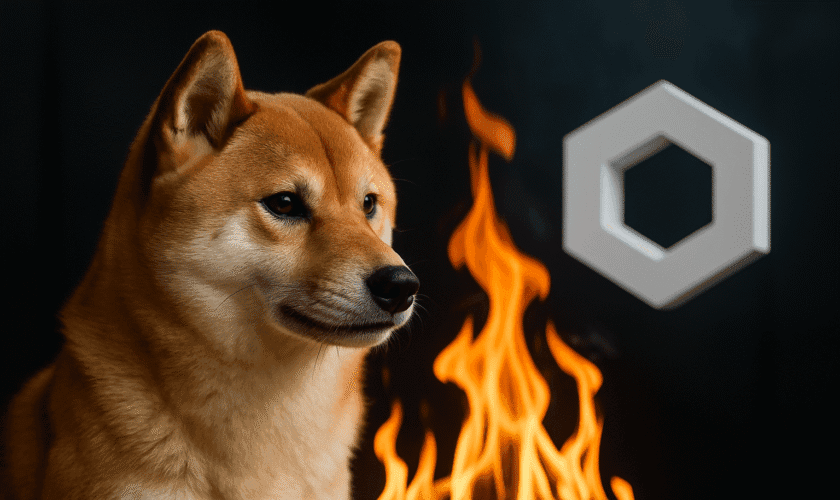 SHIBA INU ACTIVA QUEMAS AUTOMÁTICAS DE TOKENS SHIB CON CADA TRANSACCIÓN CROSS-CHAIN GRACIAS A INTEGRACIÓN CON CHAINLINK