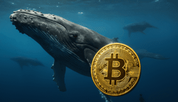 BALLENAS DE BITCOIN ACUMULAN POR DEBAJO DE USD 90,000 PERO REDUCEN COMPRAS ANTE AUMENTO DE INVERSORES MINORISTAS